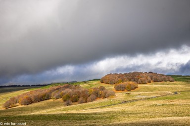 Aubrac-110--20-octobre-2025.jpg