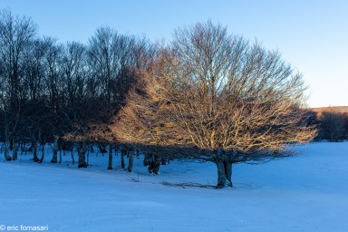 Stage-Aubrac-166-14-janvier-2022-20.jpg