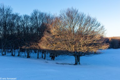 Stage-Aubrac-166-14-janvier-2022.jpg
