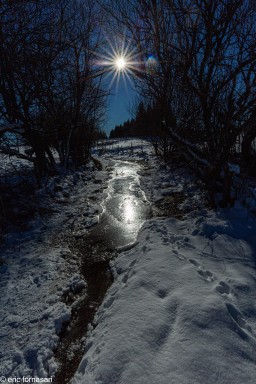 Stage-Aubrac-177-14-janvier-2022.jpg