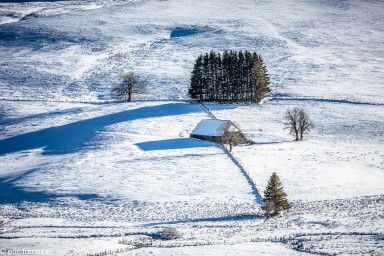 Stage-Aubrac-198-14-janvier-2022-24.jpg
