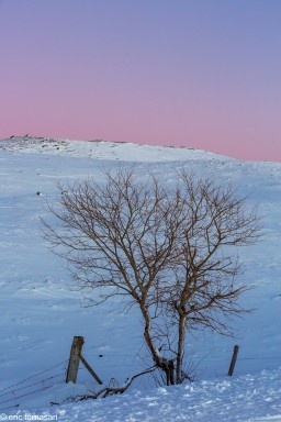 Stage-Aubrac-299-14-janvier-2022.jpg