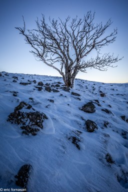 Stage-Aubrac-35-13-janvier-2022.jpg