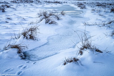 Stage-Aubrac-52-13-janvier-2022-10.jpg