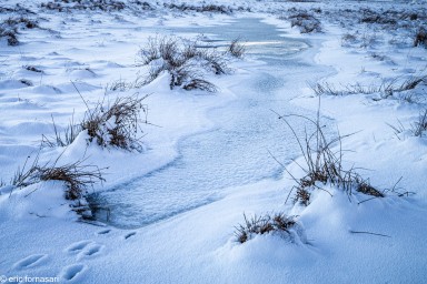 Stage-Aubrac-52-13-janvier-2022.jpg