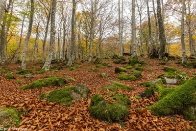 Stage-Aubrac-octobre-2024-283-25-octobre-2024.jpg