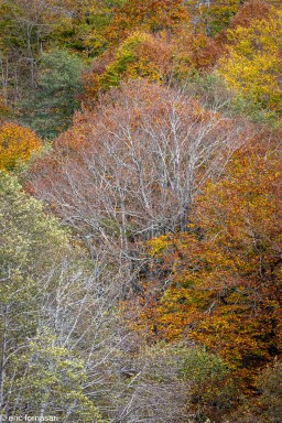 Stage-Aubrac-octobre-2024-354-25-octobre-2024.jpg