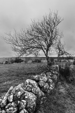Stage-Aubrac-octobre-2024-49-22-octobre-2024.jpg