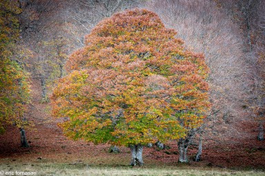 Stage-Aubrac-octobre-2024-90-23-octobre-2024.jpg