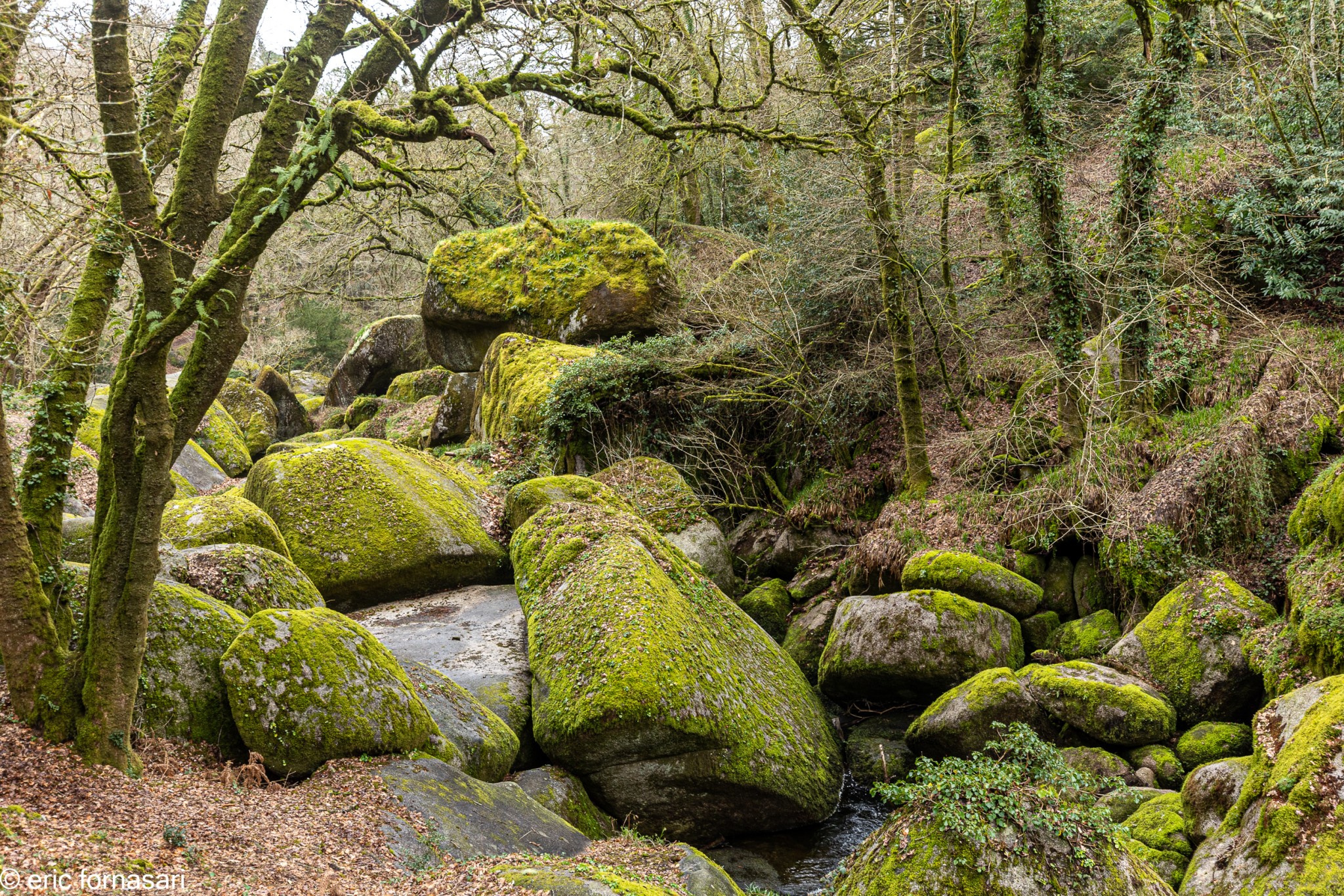 Forêt-de-Huelgoat-6-29-mars-2023-1.jpg
