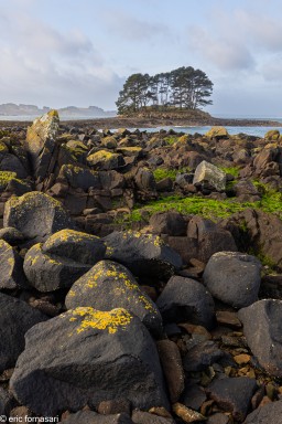 Bord-de-mer-17-30-mars-2023-1.jpg