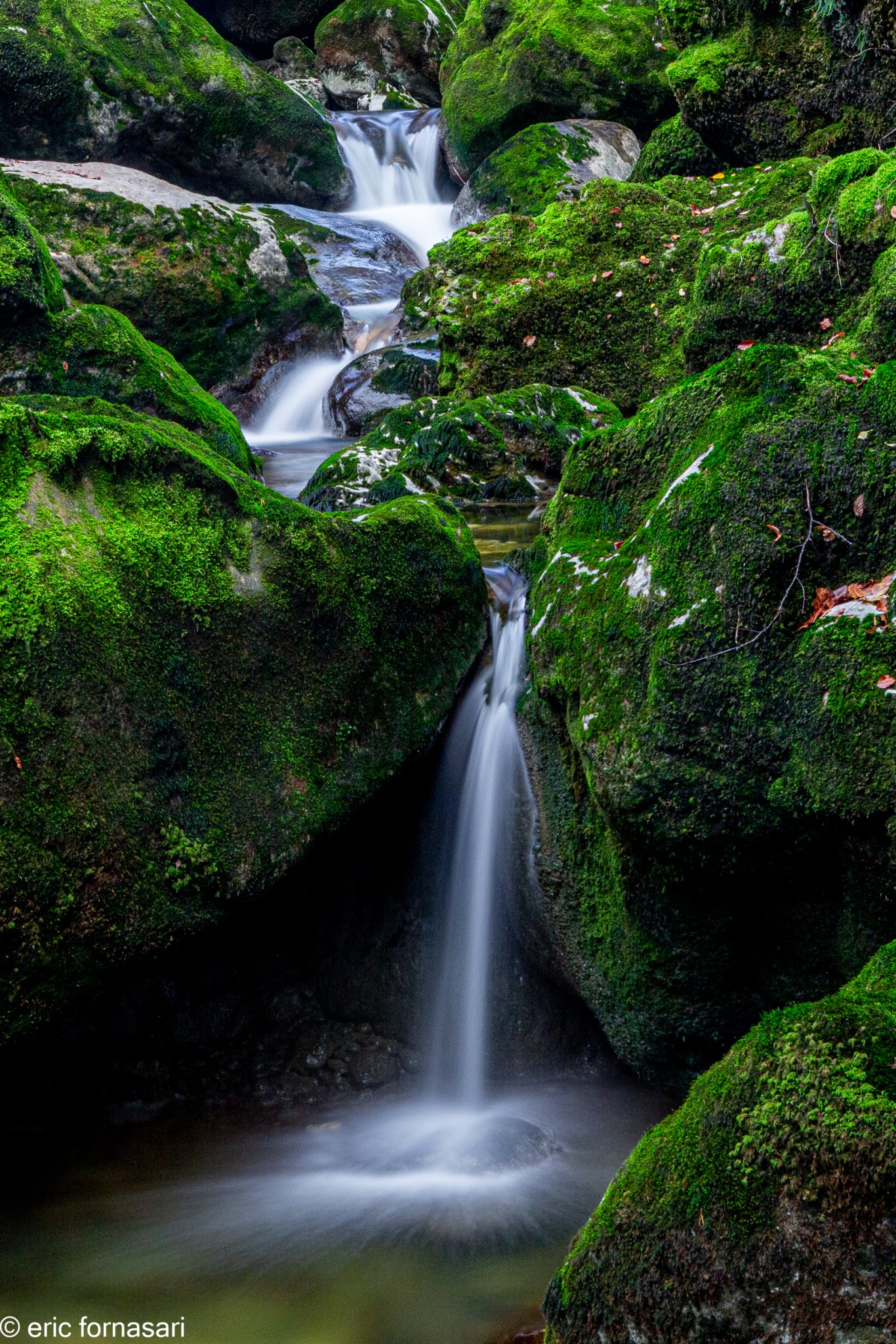 gorges-de-l'areuse-6-26-novembre-2020-20.jpg
