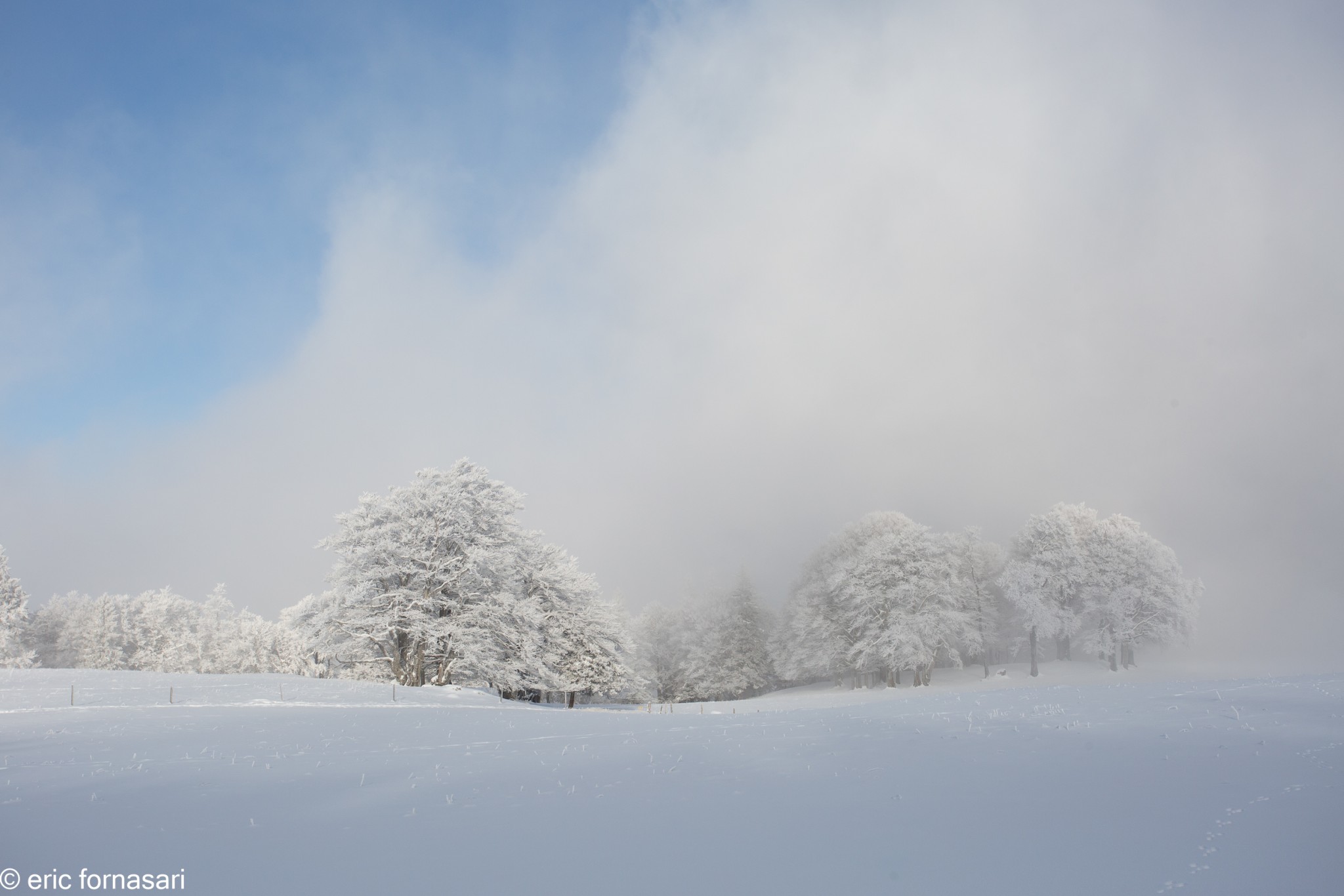 paysages-creux-du-van-2-10-décembre-2020-21.jpg
