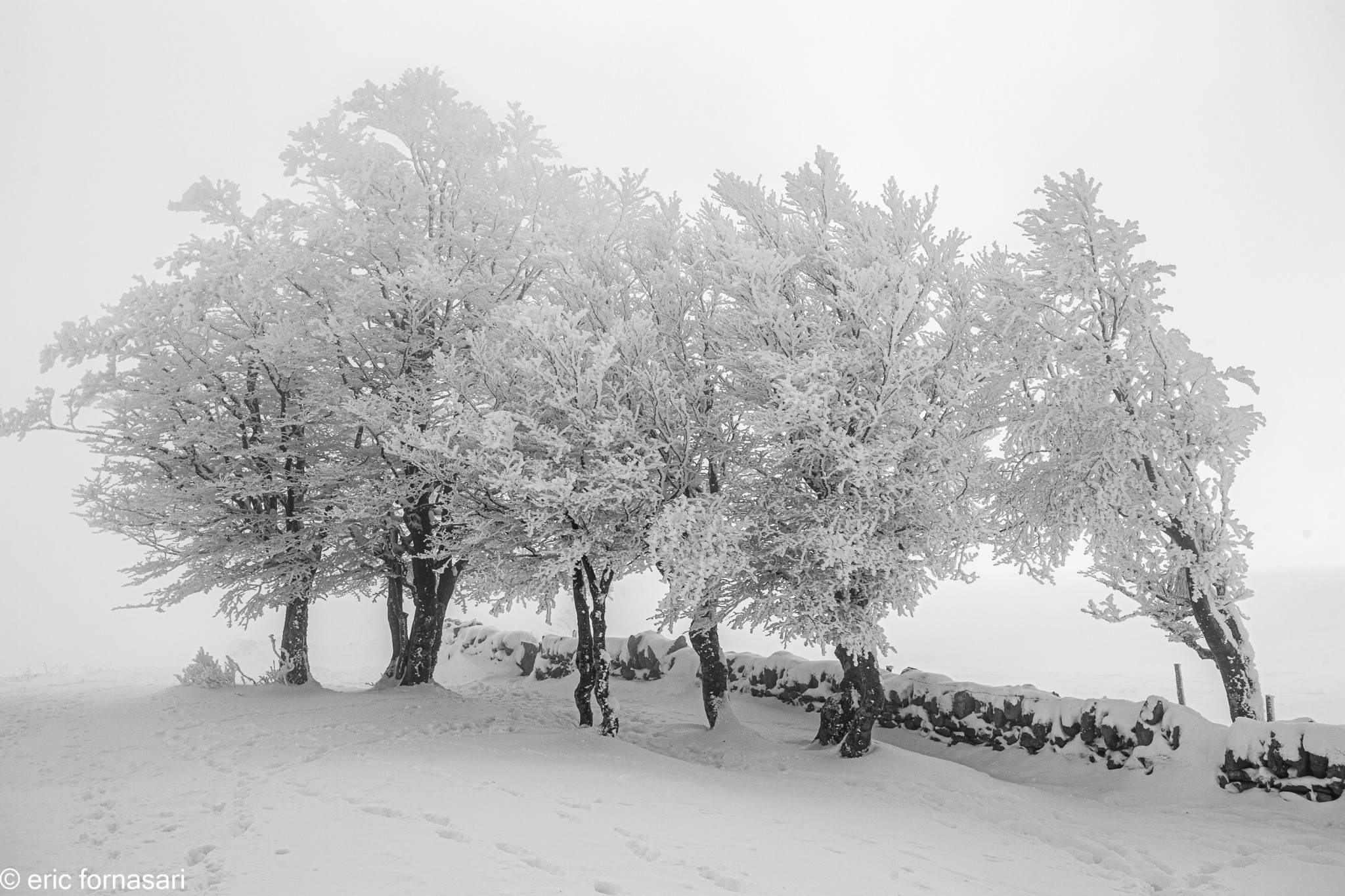 paysages-creux-du-van-3-10-décembre-2020-22.jpg