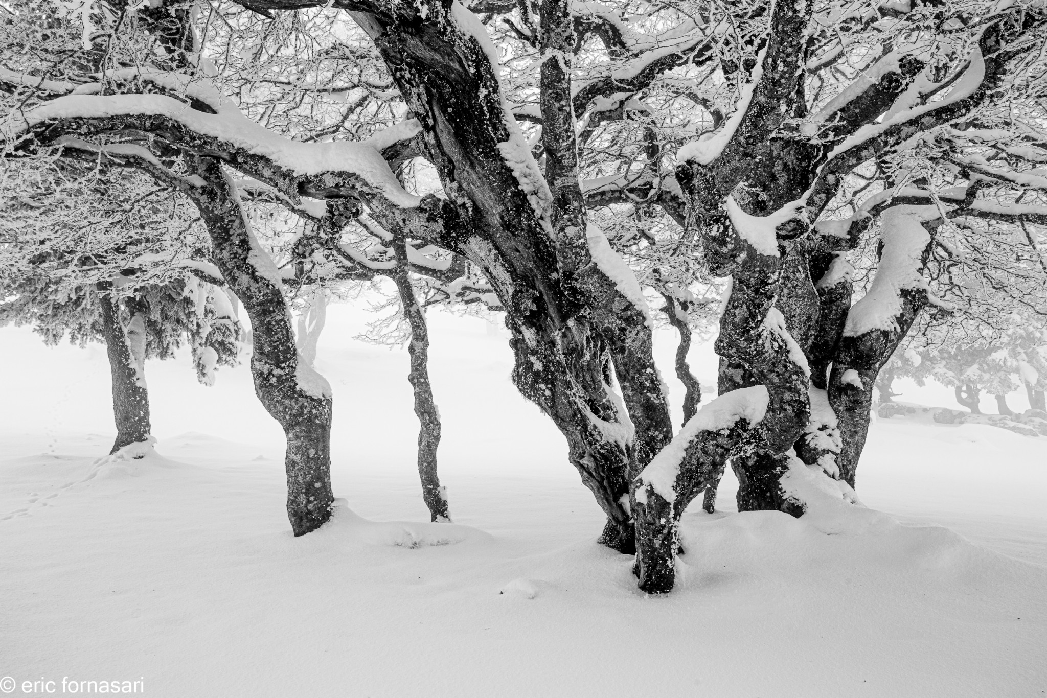 paysages-creux-du-van-6-10-décembre-2020-23.jpg