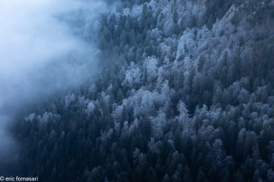 Creux-du-Van-04-décembre-2019-2-14.jpg