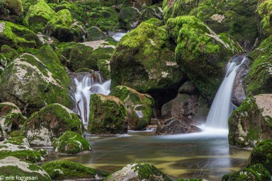 gorges-de-l'areuse-4-26-novembre-2020-19.jpg