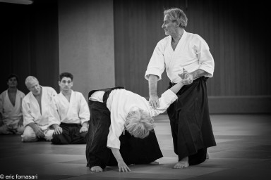 stage-aikido-19-décembre-2009-56.jpg