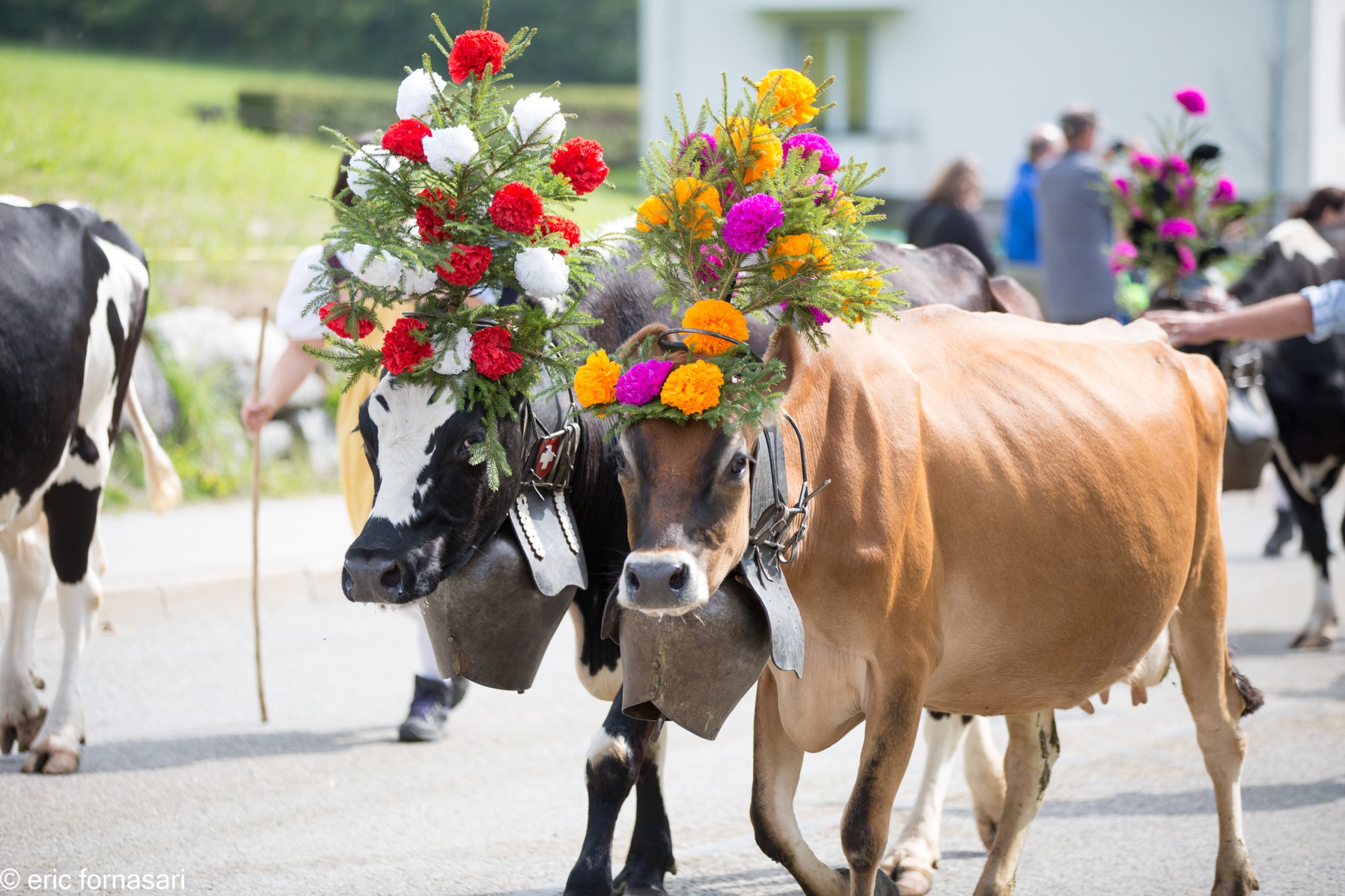 desalpe-charmey-26-septembre-2015-356-1.jpg