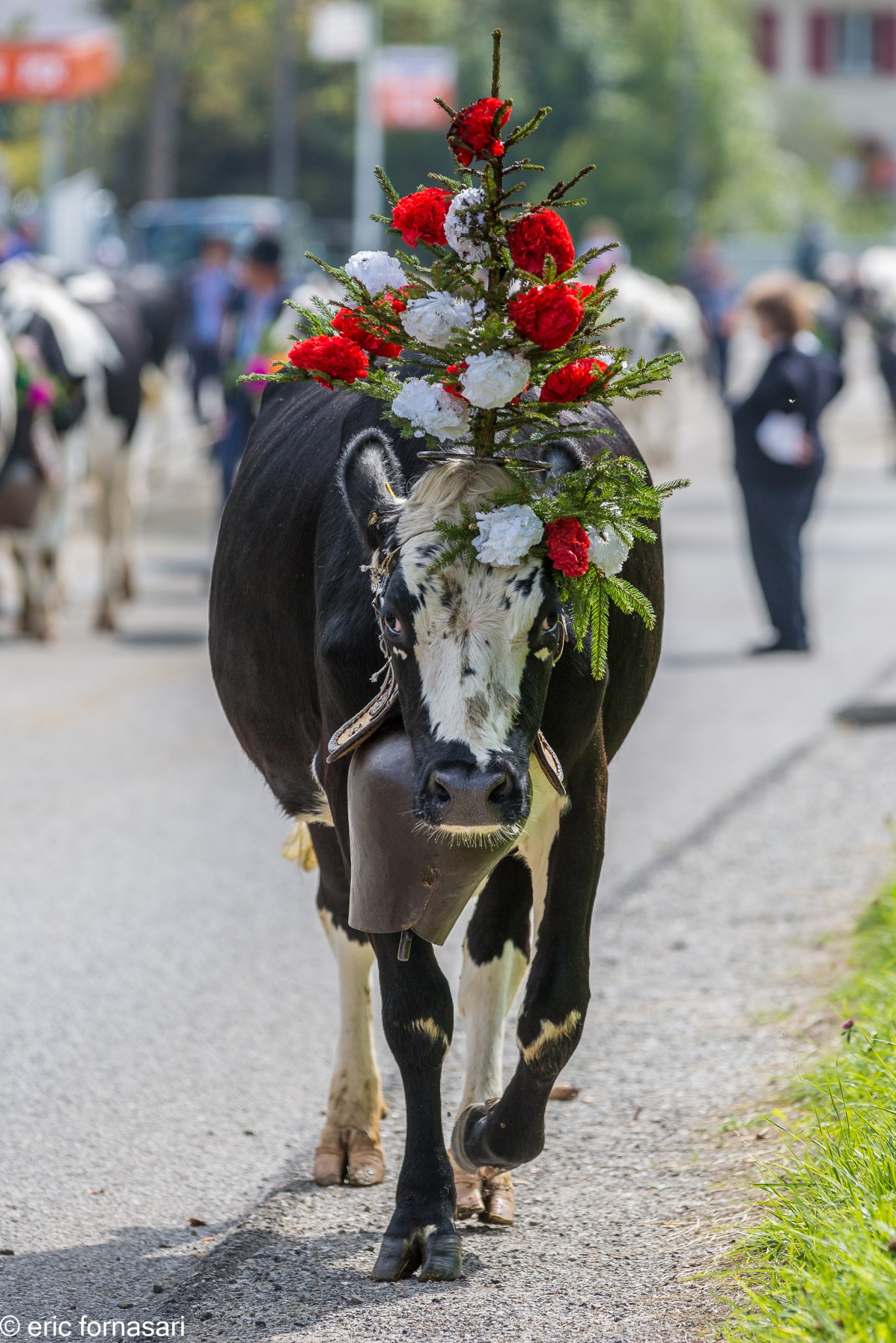 desalpe-charmey-26-septembre-2015-360-1.jpg