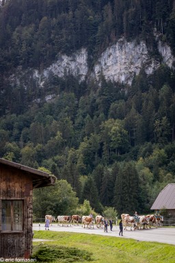 Desalpe-2023-16-23-septembre-2023-1.jpg