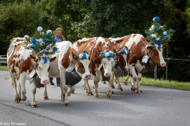 Desalpe-2023-17-23-septembre-2023-1.jpg
