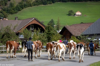Desalpe-2023-37-23-septembre-2023-1.jpg