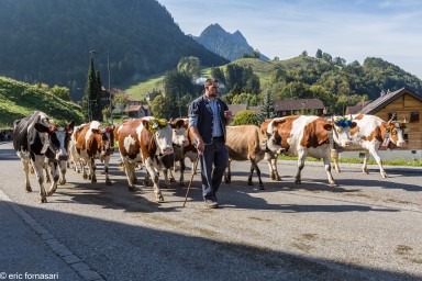 desalpe-charmey-26-septembre-2015-212-1.jpg