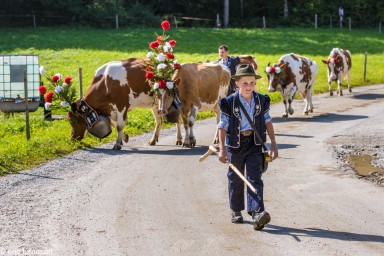 desalpe-charmey-26-septembre-2015-296.jpg
