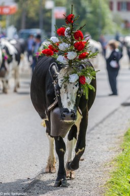 desalpe-charmey-26-septembre-2015-360.jpg