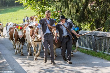 désalpe-2018-29-septembre-2018-187.jpg