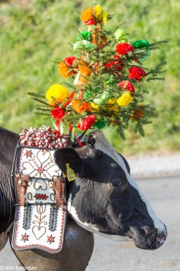 désalpe-2018-29-septembre-2018-48.jpg